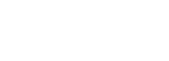 INSA Logo
